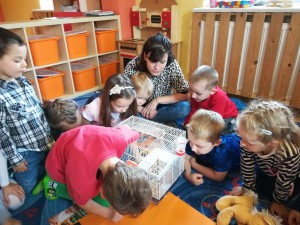 IMG_20171004_102447